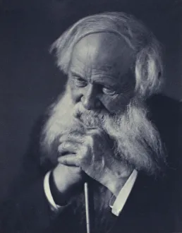 Platinum Prints 1900 Gmgpc Prints: Elderly man clasping a cane(?)