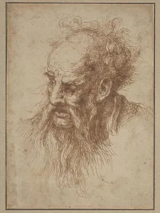 An Elderly Man with a Flowing Beard. Creator: Unknown