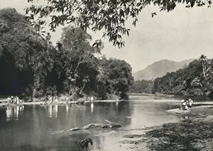 Maha Nuvara Gallery: Elefantenbadeplatz an der Mahavaliganga bei Kandy, 1926