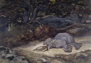 Botanic Garden Prints: Elephant Asleep, c1850s-1860s. Creator: Antoine-Louis Barye