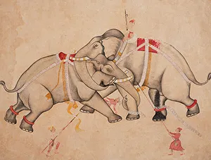 Trunk Prints: Elephant Combat, c1725. Creator: Unknown
