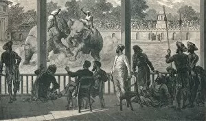 Baroda Gallery: Elephant Fight at Baroda, 1896