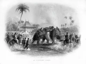 An elephant fight, India, 19th century