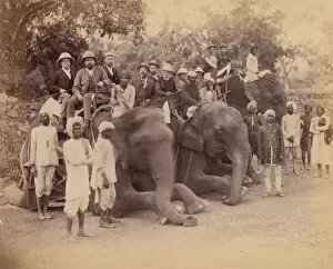 Elephants Gallery: Elephant Group, 1860s-70s. Creator: Unknown