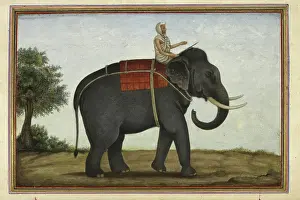 Harness Prints: An elephant keeper riding his elephant, 1825. Creator: Anon