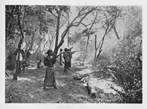 Kraal Prints: Elephant Kraaling in Ceylon Towards the Stockade