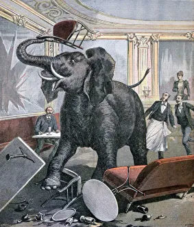 Amazement Prints: A elephant in the Pre-Catalan Cafe, Toulouse, France, 1891. Artist: Henri Meyer