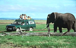Safari Prints: Elephant and safari van, Kenya