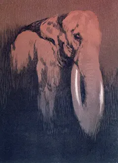 Trunk Prints: Elephant; scene from 'The Jungle Book', 1919. Creator: Paul Jouve