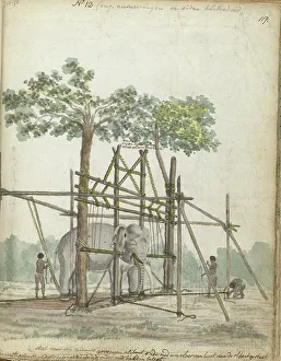 Java Indonesia Prints: Elephant stable, 1786. Creator: Jan Brandes