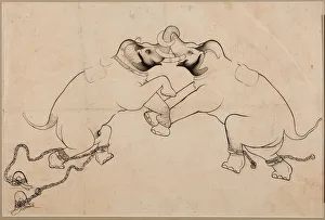 Two Elephants in Combat, early 1700s. Creator: Unknown
