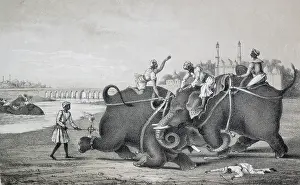 Mahouts Prints: Elephants fighting, India, 1850. Creator: Unknown