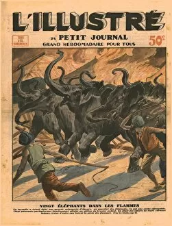 Petit Journal Collection: Twenty elephants in the flames, 1932. Creator: Unknown