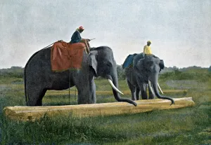 L Boulanger Prints: Elephants moving a log, Ceylon, c1890. Artist: Gillot