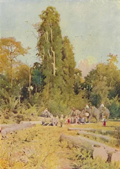 Adam Charles Black Prints: Elephants Piling Teak, 1924