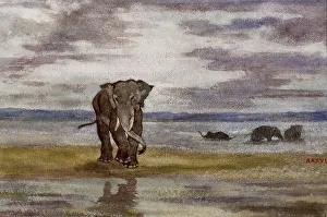Antoine Louis Barye Prints: Elephants in Water, c1850. Creator: Antoine-Louis Barye