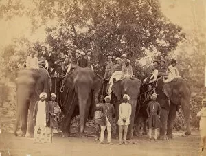 Topee Collection: Four Elephants with Western Travellers and Attendants, Jaipur, India, 1860s-70s