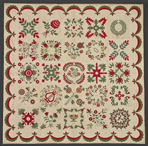 Designs Prints: Eli Lilly Family Album Quilt, 1847. Creator: Unknown