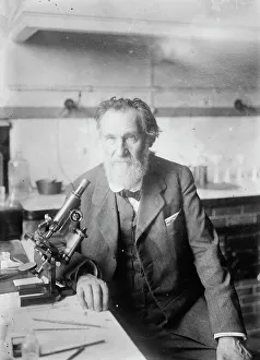 Immunology Prints: Elie Metchnikoff, between c1910 and c1915. Creator: Bain News Service