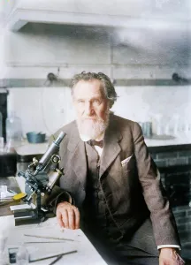 Immunology Prints: Elie Metchnikoff, between c1910 and c1915. Creator: Bain News Service