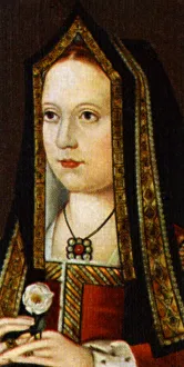 Elizabeth of York
