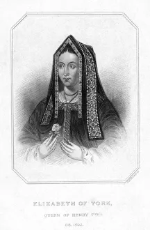 Elizabeth Of Prints: Elizabeth of York, Queen Consort of King Henry VII