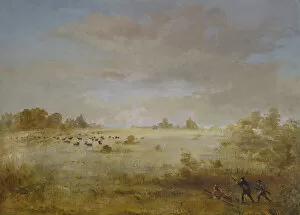 Elk Grazing on an Autumn Prairie, 1846-1848. Creator: George Catlin
