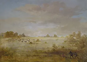 Elk Grazing on an Autumn Prairie, 1846-1848. Creator: George Catlin Elk Grazing on an Autumn Prairie, 1846-1848. Creator: George Catlin