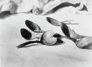 Spoons Prints: Elk-horn spoons-Tolowa, c1923. Creator: Edward Sheriff Curtis