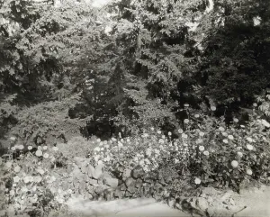 Portland Oregon Usa Prints: Elk Rock, Peter Kerr house, 11800 SW Military Lane
