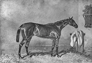 Ellington, 1853-1870, (1911)