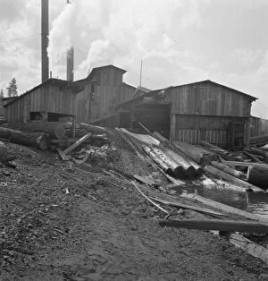 Oregon United States Of America Collection: Ellington Lumber Company mill, Keno, Klamath County, Oregon, 1939. Creator: Dorothea Lange