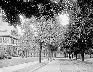 Elm Street, Holyokke [sic], Mass. c1908. Creator: Unknown