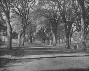 Connecticut Prints: The Elms, New Haven, Connecticut, USA, c1900. Creator: Unknown