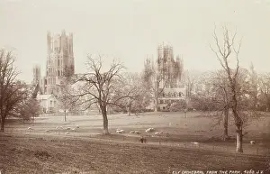 Ely Cathedral from the Park, between 1870 and 1880. Creator: James Valentine