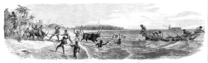Indian Ocean Prints: Embarking cattle at the port of Tamatave, Madagascar, 1864. Creator: Mason Jackson