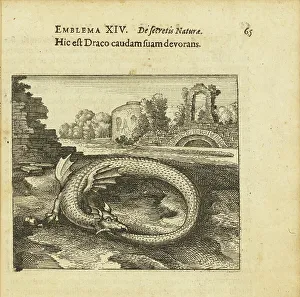 Emblem 14. This is the dragon eating its own tail. From Atalanta fugiens by Michael Maier, 1618. Creator: Merian, Matthäus, the Elder (1593-1650). Emblem 14. This is the dragon eating its own tail