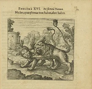 Alchemists Prints: Emblem 16. This lion has no feathers
