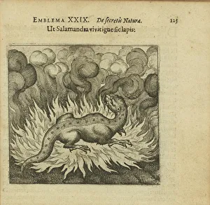 Alchemists Prints: Emblem 29. As the salamander lives in fire