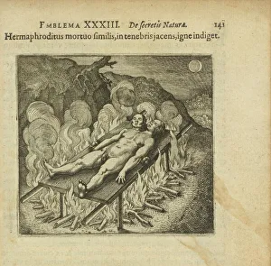 Graphics Prints: Emblem 33. The hermaphrodite, lying like a dead person in darkness