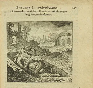 Graphics Prints: Emblem 50. The dragon killed the woman and she killed him
