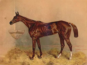 Skinny Prints: Emblem, Steeplechase Mare, c1879. Creator: Unknown