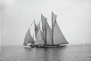 Emerald and Amorita, 1897 June 19. Creator: Johns Johnston
