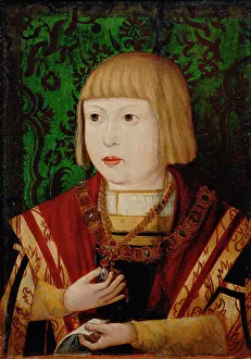Ferdinand I Prints: Emperor Ferdinand I (1503-1564) at the age of ten or twelve years