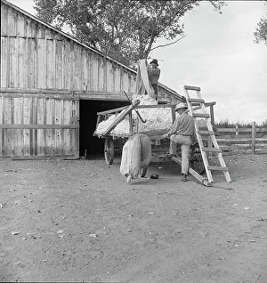 Weighing Prints: Emptying cotton after weighing