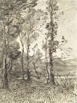 Grass Prints: En Auvergne, c1870s. Creator: Henri-Joseph Harpignies