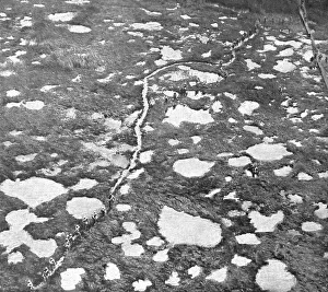 Shell Damage Prints: En Champagne; L'attaque du 26 septembre 1918