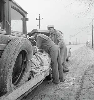 Peas Prints: En-route to pea harvest in Imperial Valley