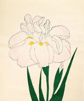 Clump Prints: En-Yo-No-Ten, No. 73, 1890, (colour woodblock print)