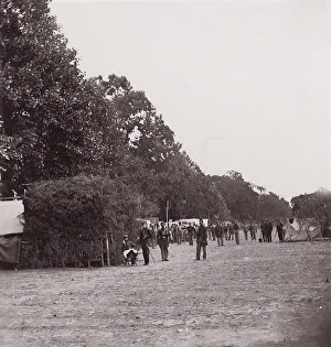 Mathew B Prints: [Encampment alongside a stand of trees]. Brady album, p. 123, 1861-65. Creator: Unknown